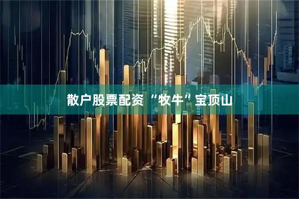 散户股票配资 “牧牛”宝顶山